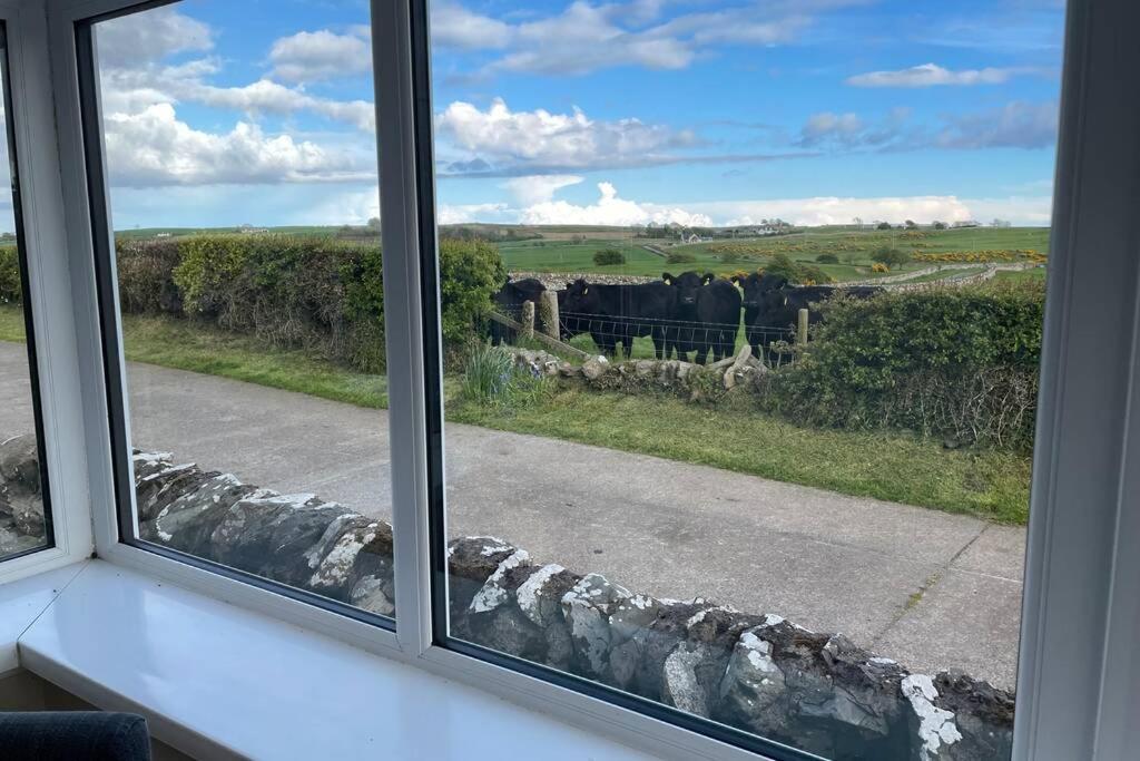 Galloway Farmstay Broughton Newton Stewart Exterior foto